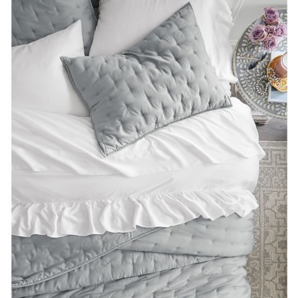 Pottery Barn Tencel Shams - Picture 1 of 5